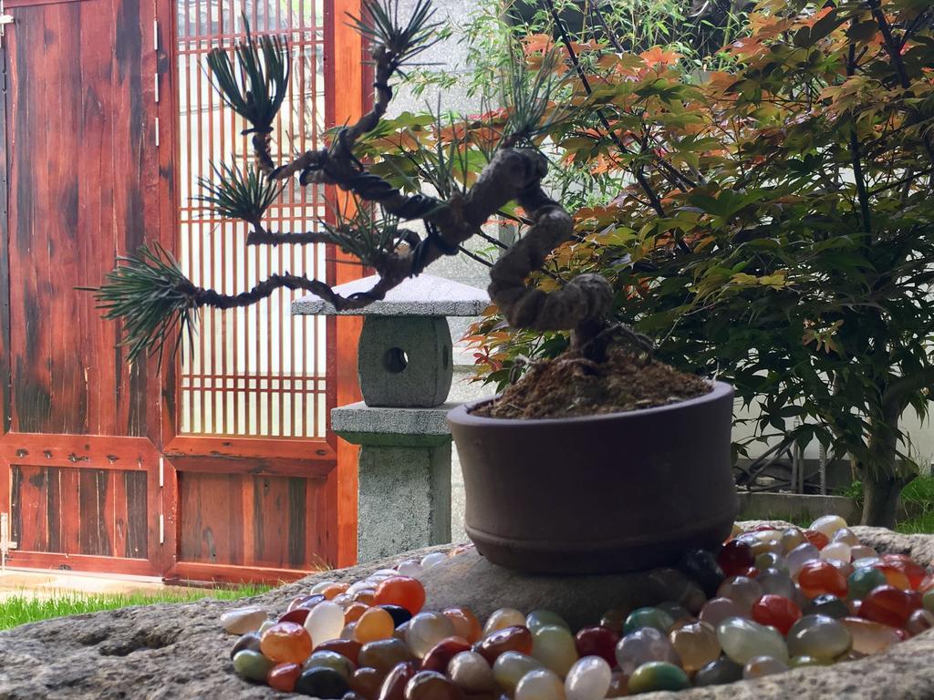 Bo Nan Homestay Dali  Luaran gambar