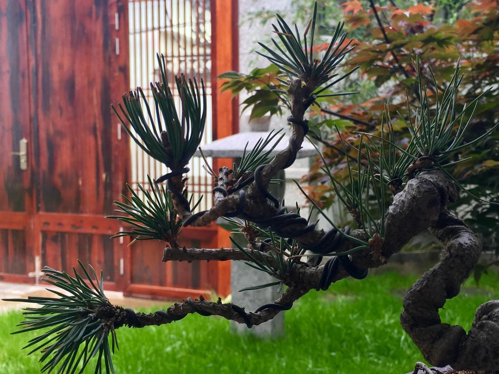 Bo Nan Homestay Dali  Luaran gambar